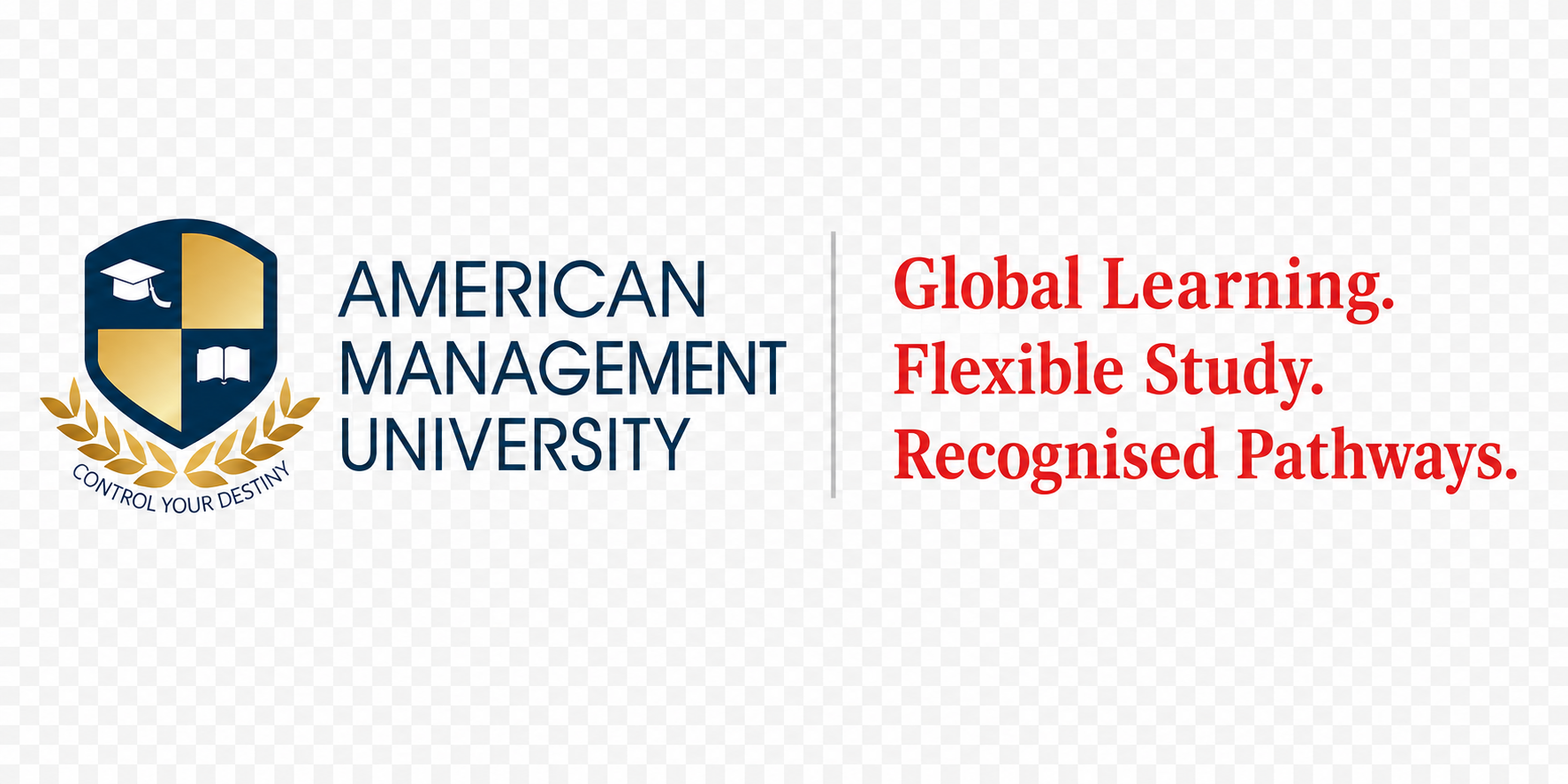 American Management University